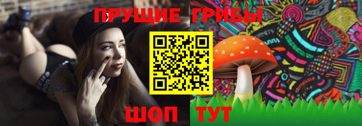 Галлюциногенные грибы MAGIC MUSHROOMS  Галлюциногенные грибы ЛСД  Ревда  Вход с VPN 
